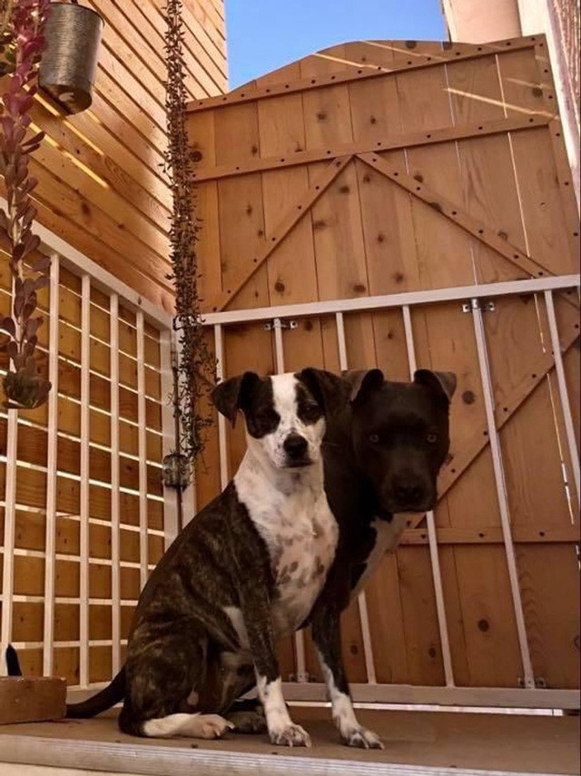 3. Khắc nhập khắc nhập.