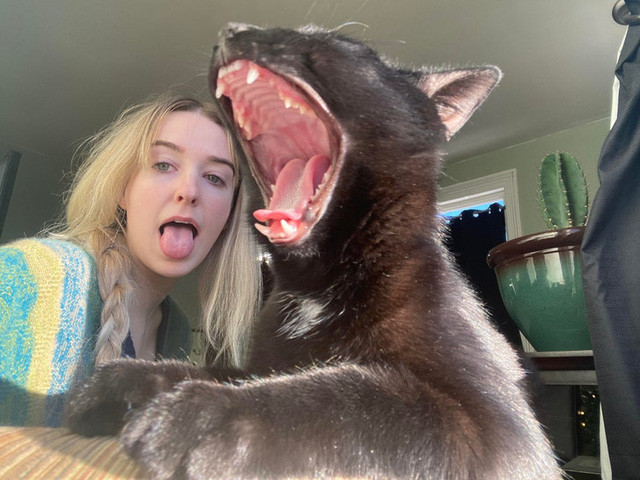 2. Ở đâu ra cái con vật đáng sợ này đây?