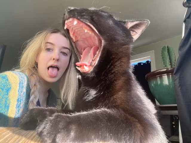 2. Ở đâu ra cái con vật đáng sợ này đây?