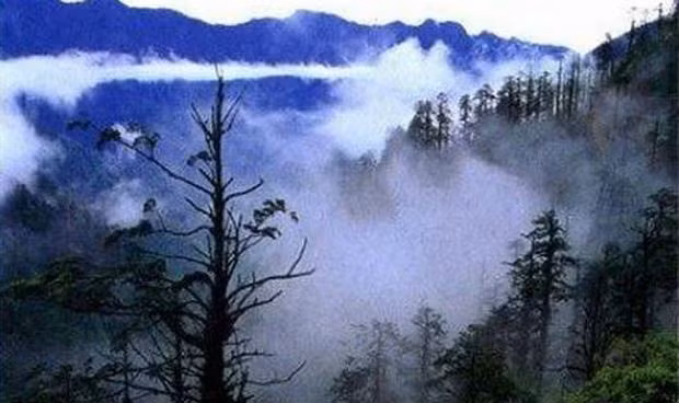 7 “cam dia” chet choc tai Trung Quoc-Hinh-2