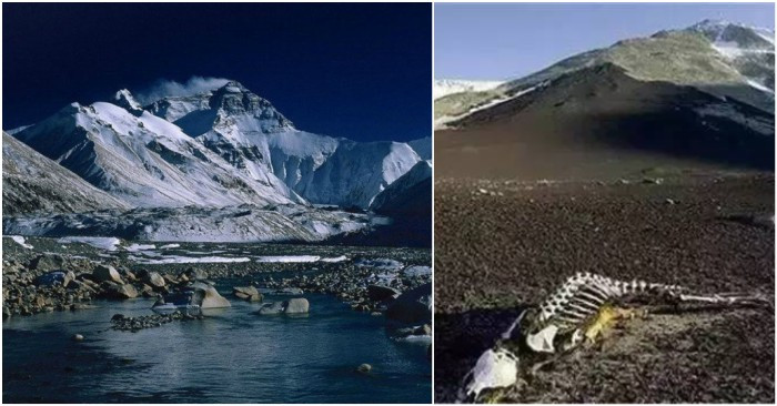 7 “cấm địa” chết chóc tại Trung Quốc 7 “cam dia” chet choc tai Trung Quoc