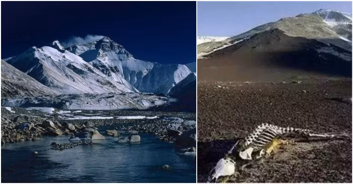 7 “cam dia” chet choc tai Trung Quoc