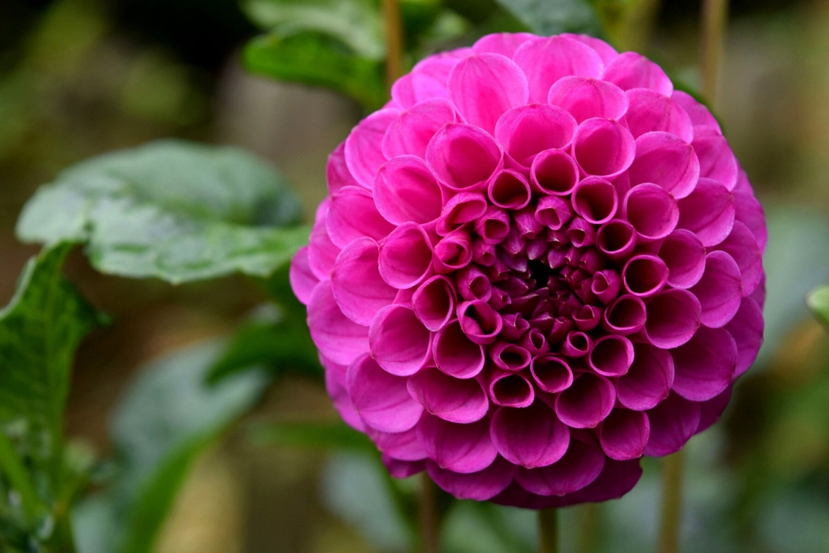 Nửa đầu năm 2024, 3 con giáp bước vào đại vận, no nê tài lộc Nua dau nam 2024, 3 con giap buoc vao dai van, no ne tai loc