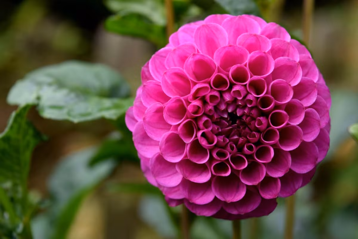 Nua dau nam 2024, 3 con giap buoc vao dai van, no ne tai loc