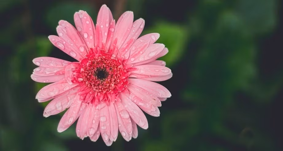 Nua dau nam 2024, 3 con giap buoc vao dai van, no ne tai loc-Hinh-2