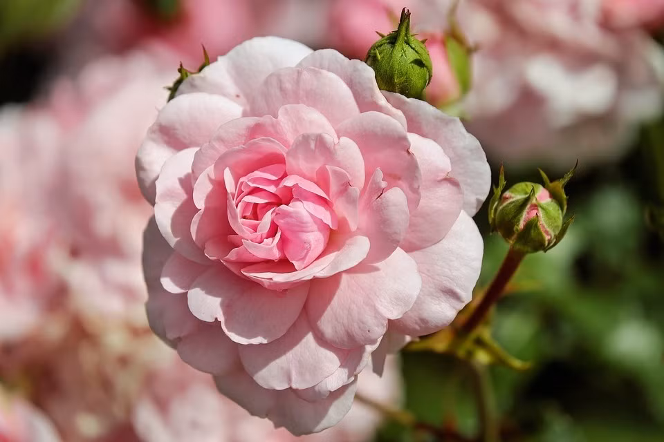 Thang 4 tran day hy vong: 3 con giap, xui xeo tieu tan-Hinh-2