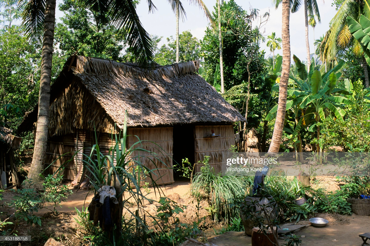 Ngôi nhà lá trên Cồn Phụng, cù lao nổi giữa sông Tiền thuộc địa phận tỉnh Bến Tre.