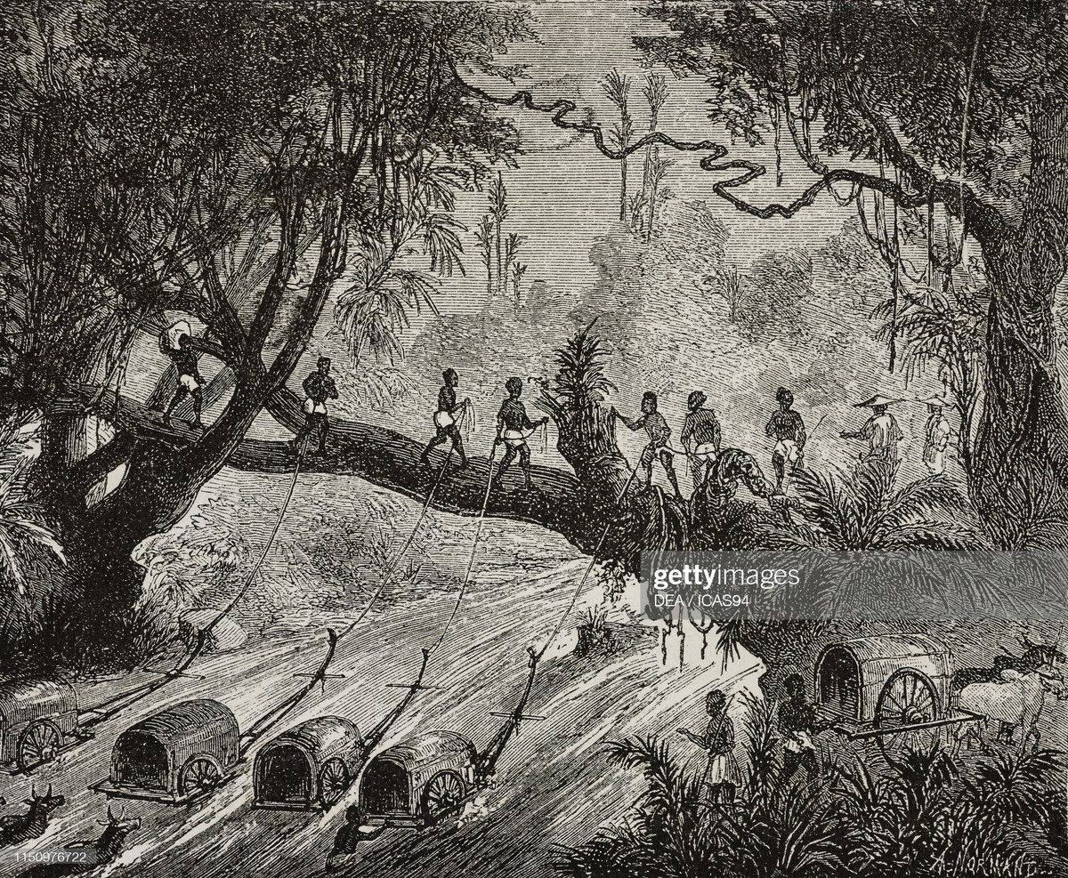 Các phu khuân vác người bản địa đưa những chiếc xe bò kéo qua sông. Thân cây cổ thụ đổ rạp được sử dụng như cây cầu.