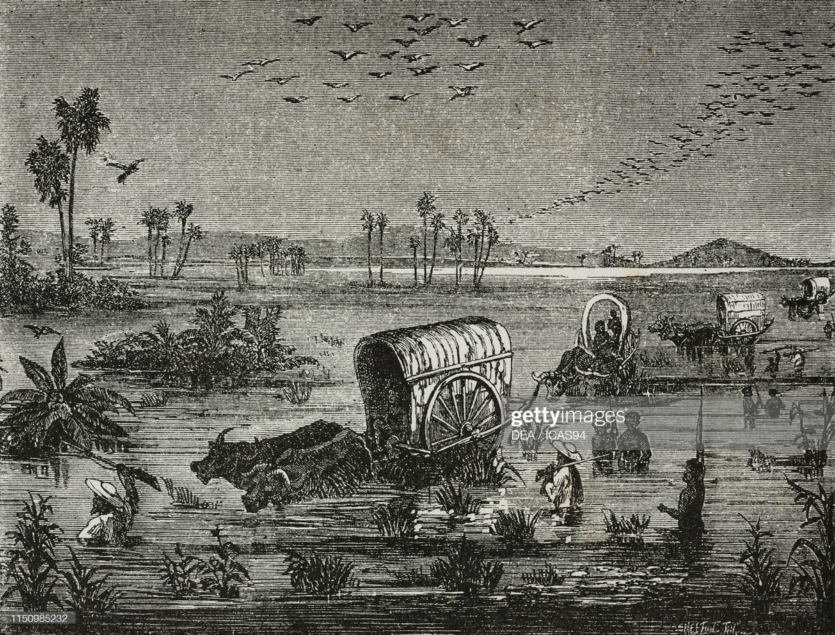 Các nhà thám hiểm người Pháp trên xe bò ở vùng đồng cỏ ngập nước.