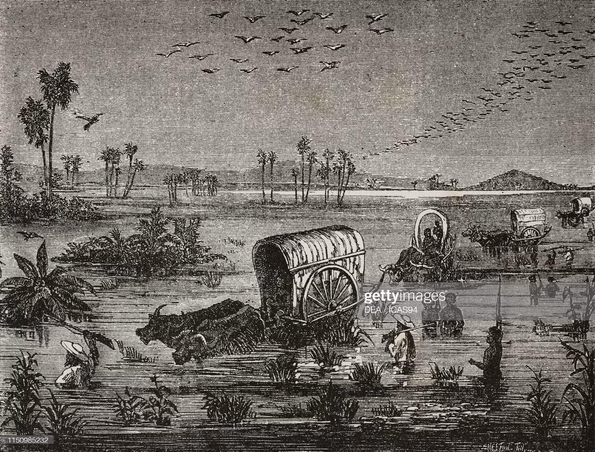 Các nhà thám hiểm người Pháp trên xe bò ở vùng đồng cỏ ngập nước.