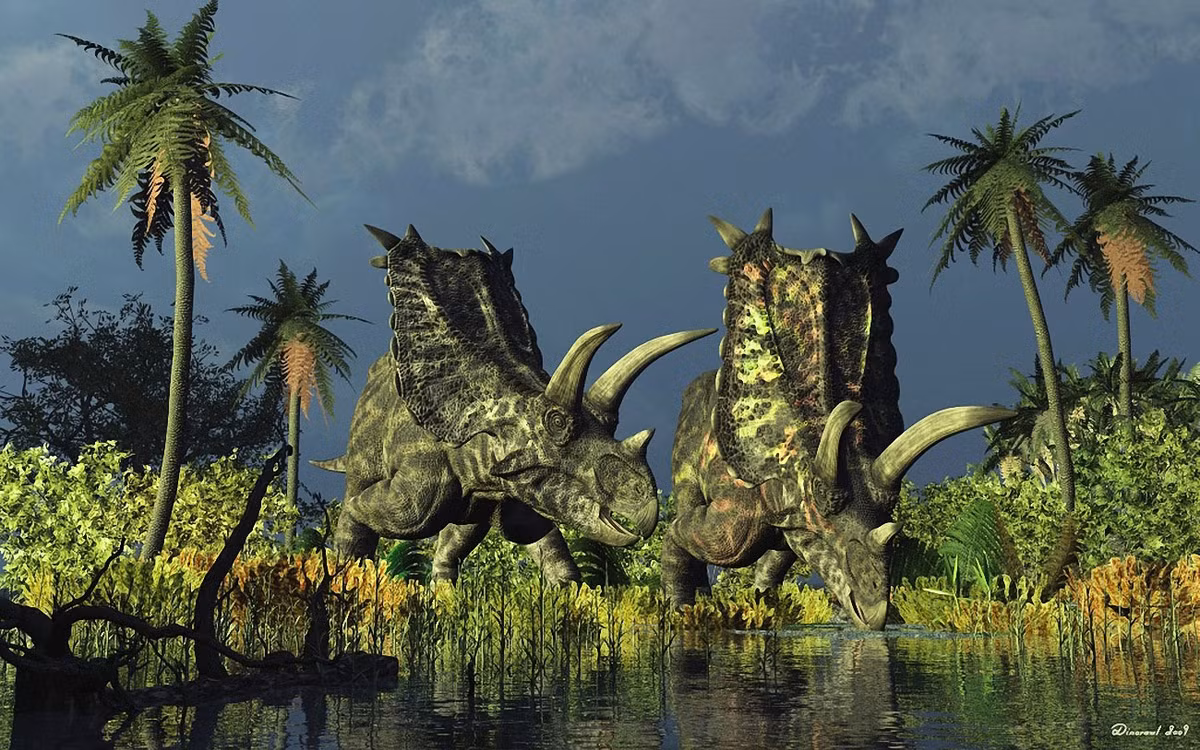 Pentaceratops là chi khủng long sống vào 75-73 triệu năm trước, phân bố ở Mỹ. Dài 8 mét, nặng 4-5 tấn, chúng là một trong những chi khủng long mặt sừng kích thước lớn. Dù tên gọi có nghĩa là 5 sừng, thực tế chúng chỉ có 3 sừng và 2 ụ lồi ở 2 bên má.