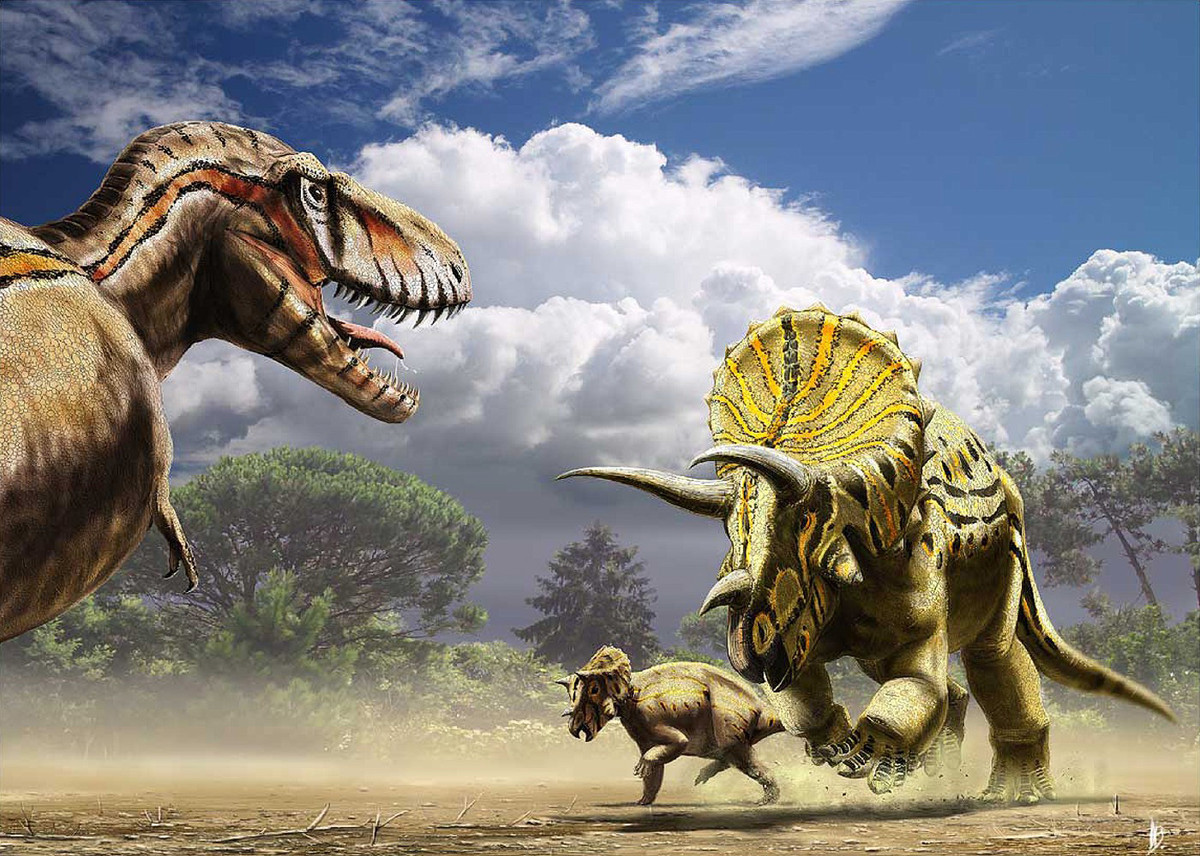 Triceratops là chi khủng long sống vào 70 triệu năm trước, phân bố ở Bắc Mỹ. Những con khủng long ba sừng cực kỳ nổi tiếng này dài 9 mét, nặng 5 tấn, có cặp sừng trên mắt dài đến 1 mét. Chúng thường di chuyển theo đàn trên thảo nguyên rộng lớn.