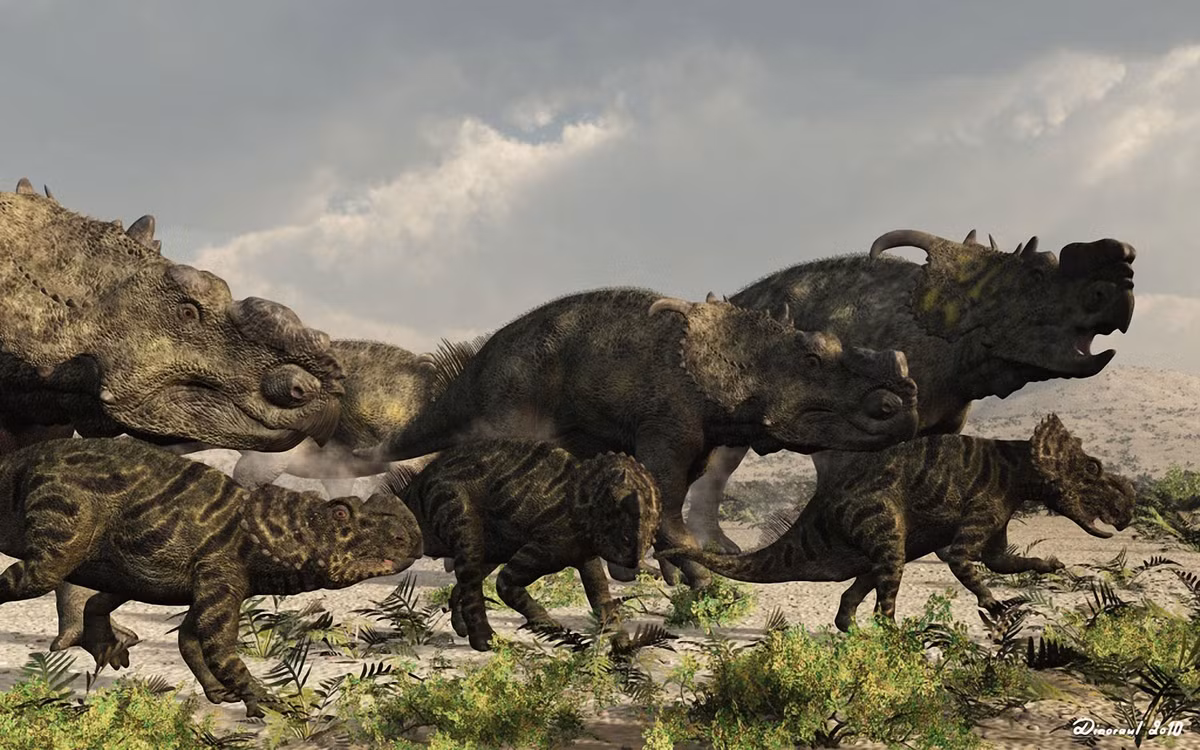 Pachyrhinosaurus là chi khủng long sống vào 70 triệu năm trước, được ghi nhận ở Bắc Mỹ. Chúng dài 6-7 mét, nặng 4 tấn. Đặc trưng của Pachyrhinosaurus là có tấm sừng dày trên mũi, chức năng chưa được xác định rõ ràng.
