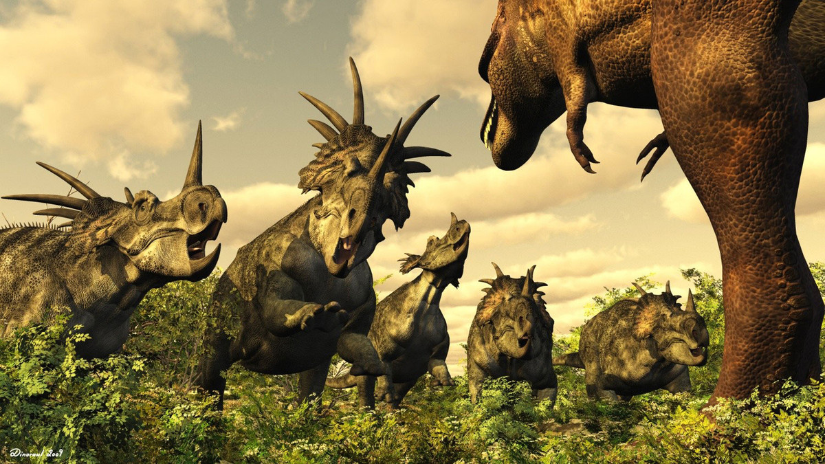 Styracosaurus là chi khủng long sống vào 77-70 triệu năm trước, được tìm thấy tại Canada. Chúng dài 5,5 mét, nặng 3 tấn, sở hữu bộ xương diềm rất ấn tượng với nhiều chiếc sừng chĩa sang 2 bên.