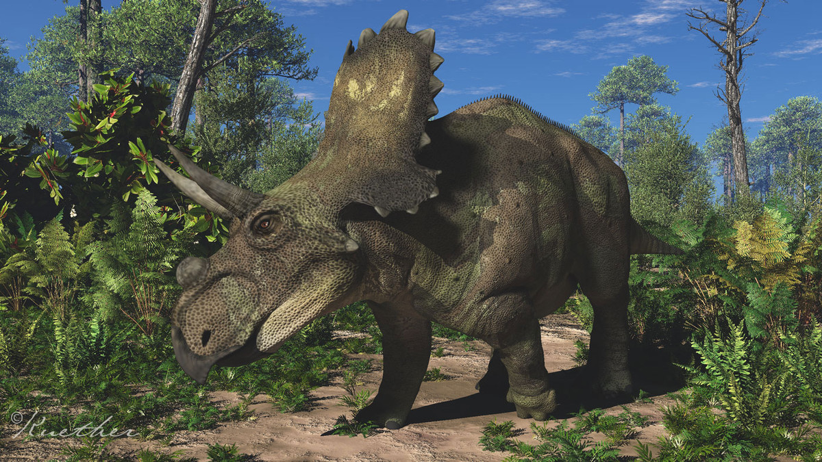 Mercuriceratops là chi khủng long sống vào 77 triệu năm trước tại Bắc Mỹ. Dài khoảng 6 mét và nặng 2 tấn, diềm có dạng răng cưa với nhiều tấm sừng nhỏ nằm sát nhau.