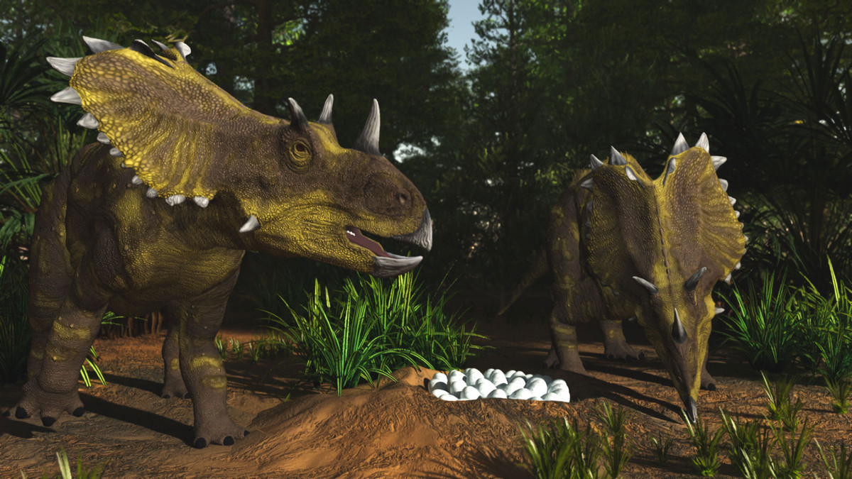 Utahceratops là chi khủng long sống vào 75 triệu năm trước, được ghi nhận tại bang Utah, Mỹ, dài 7 mét, nặng 3-4 tấn. Diềm của chúng gần giống Mercuriceratops, sừng mũi nằm lùi về phía sau nhiều hơn các loài khủng long mặt sừng khác.