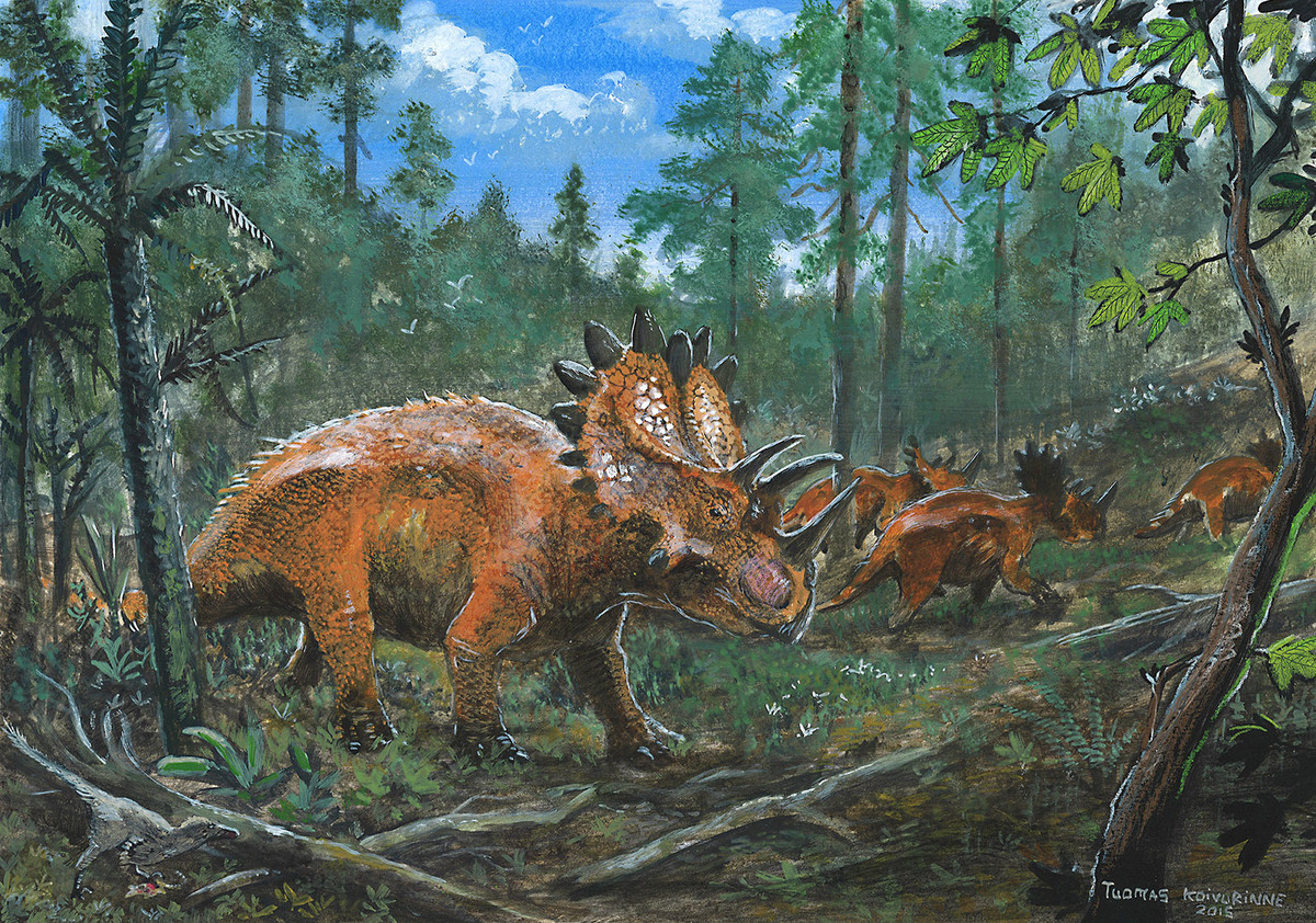 Regaliceratops là chi khủng long sống vào 68 triệu năm trước, được ghi nhận tại tỉnh Alberta, Canada. Chúng dài khoảng 5 mét, nặng 1,5 tấn, sở hữu bộ diềm sừng được ví như một chiếc vương miện lộng lẫy.