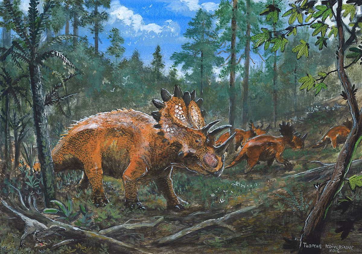 Regaliceratops là chi khủng long sống vào 68 triệu năm trước, được ghi nhận tại tỉnh Alberta, Canada. Chúng dài khoảng 5 mét, nặng 1,5 tấn, sở hữu bộ diềm sừng được ví như một chiếc vương miện lộng lẫy.