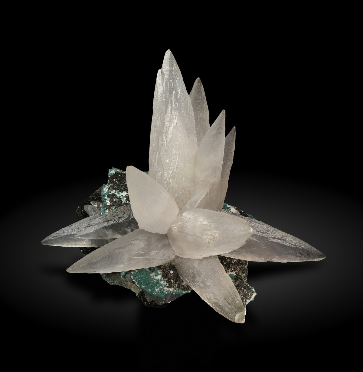 Canxite là cacbonat canxi, một trong những khoáng vật dồi dào nhất trên quả đất, đa phần tồn tại ở dạng khối trong đá vôi hoặc đá cẩm thạch. Khoáng vật màu trắng này hình thành những tinh thể dạng răng chó hay đầu đinh.