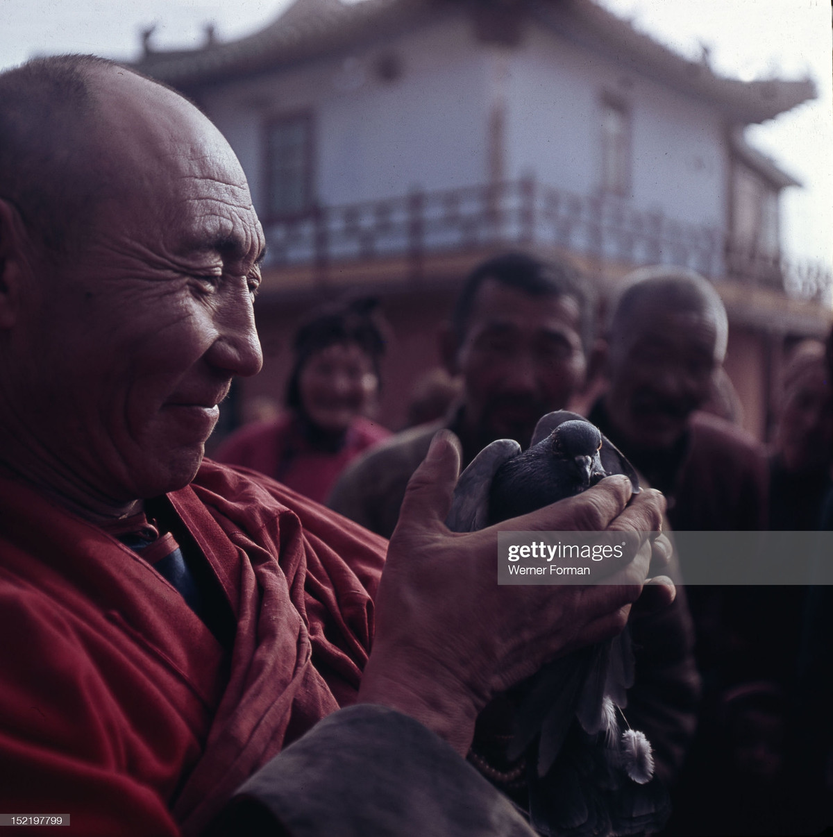 Nhà tu hành và con chim bồ câu.