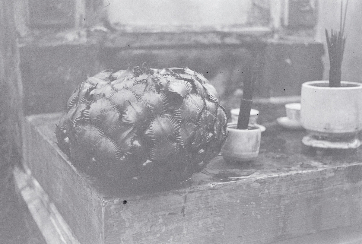 Lễ vật kỳ lạ trên bàn thờ.