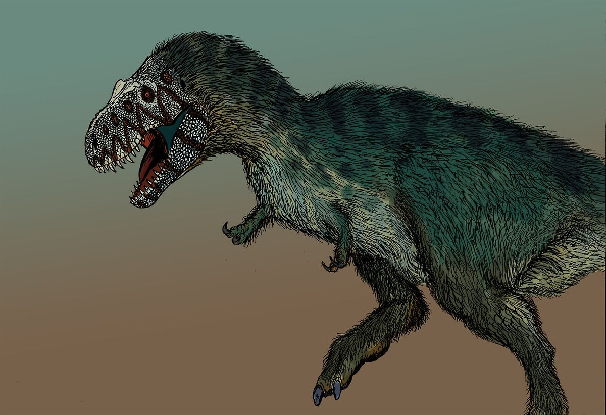 Ngoài ra, Sue là bộ xương T-rex đầu tiên được phát hiện có xương đòn, một khám phá quan trọng hỗ trợ cho giả thuyết của các nhà khoa học rằng chim là hậu duệ trực tiếp của các loài khủng long ăn thịt.