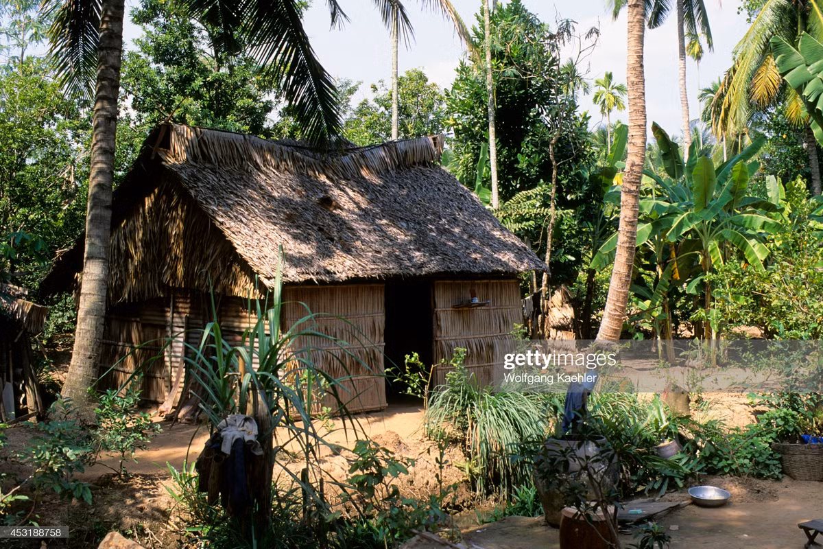 Ngôi nhà lá trên Cồn Phụng, cù lao nổi giữa sông Tiền thuộc địa phận tỉnh Bến Tre.