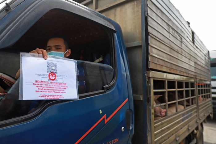 Tài xế Lê Văn Cương (đi từ Ninh Bình) cho biết anh mất gần 40 phút chờ đợi để thoát khỏi khu vực ùn tắc. "Thời tiết đang giao mùa, nắng oi cùng với khói xe khiến hàng chục con lợn của tôi có nguy cơ chết nếu phải chờ đợi thêm", anh nói.