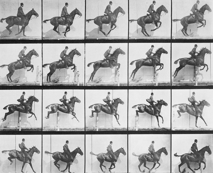 Muybridge đã phát triển một hệ thống khéo léo để chụp ảnh chuyển động tuần tự, sử dụng 24 máy ảnh gắn với nhau bằng dây kéo trên một đường đua. Bước đột phá này đã truyền cảm hứng cho nhiều người, trong đó có nhà phát minh Thomas Edison.