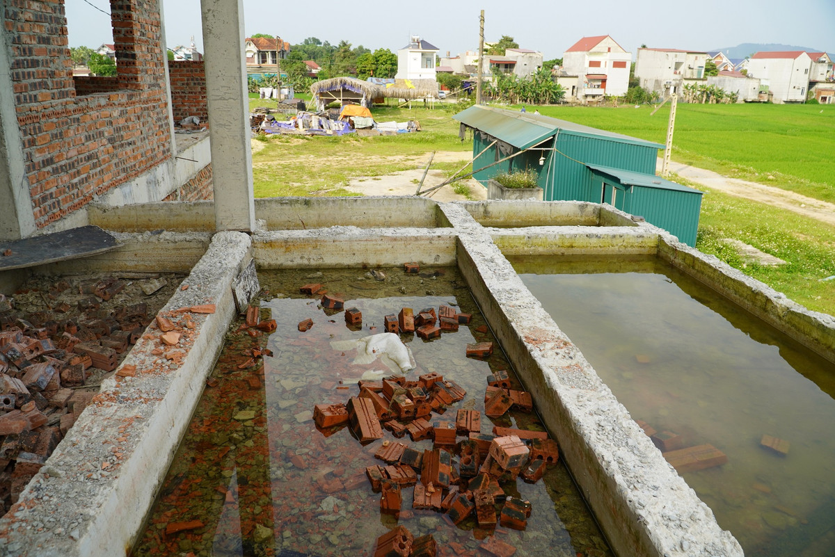 Theo thống kê của UBND huyện Nông Cống, 14 xã vùng trũng có khoảng 70.000 nhân khẩu, một số xã thuộc vùng triều nhiễm mặn, rất khó khăn về nước sạch lúc hạn hán hay lụt lội. Song, những nơi này chưa có bất cứ công trình nước sạch nào, trong khi đó, dự án hơn 400 tỷ được trông đợi lại liên tục chậm tiến độ.