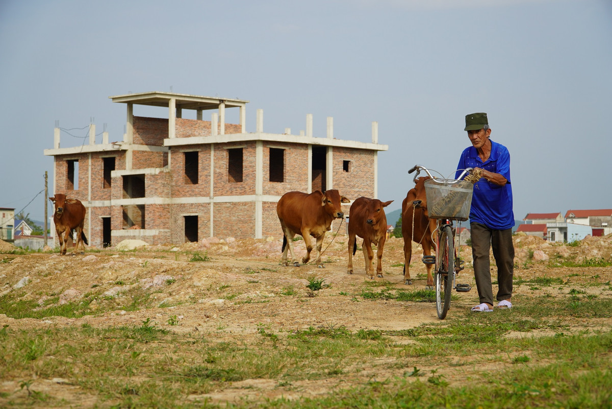 Ông Nguyễn Văn Canh (71 tuổi, người dân địa phương) cho biết đa số người dân khu vực phải mua nước bình hoặc hứng nước mưa để uống, nấu ăn, còn tắm giặt thì dùng nước khoan. "Nước khan hiếm, có nơi còn dùng cả nước nhiễm phèn nhưng nhà máy thi công mãi mà chưa hoàn thành. Tôi tận dụng nơi đây để chăn thả bò", ông Canh nói.
