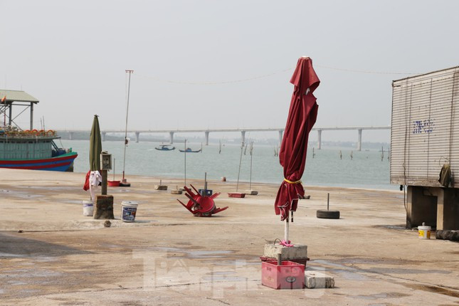 Ông Phan Tiến Chương - Giám đốc Ban quản lý cảng cá Nghệ An cho biết: “Bến cá Cửa Hội có khoảng 100 hộ kinh doanh buôn bán. Việc người dân không chịu vào Nhà phân loại hải sản để hoạt động một phần do phong tục tập quán. Phía Ban quản lý cảng cá đã nhiều lần vận động người dân vào hoạt động nhưng không được. Sắp tới, Ban quản lý cảng cá sẽ đề xuất với Sở ban ngành cho phép chuyển mục đích sử dụng để phù hợp với công năng và tình hình thực tế, tránh gây lãng phí”.