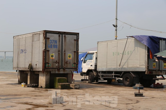 Để thuận tiện cho việc tích, trữ cá, nhiều hộ đã tận dụng những chiếc thùng xe đông lạnh cũ làm nơi chứa hàng.