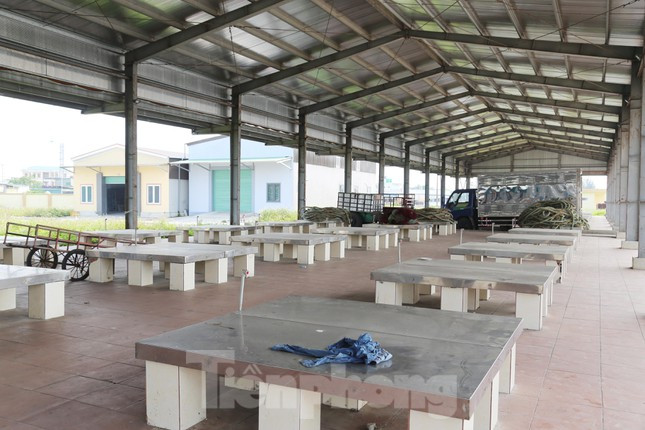 Suốt 3 năm qua, nhà phân loại hải sản tại cảng cá Cửa Hội bị bỏ hoang