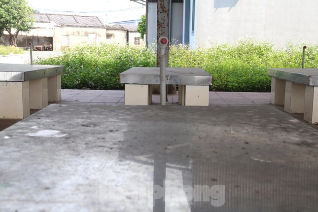 Dự án hướng đến phục vụ lượng hàng thủy sản qua cảng thiết kế từ 15.000 tấn/năm trở lên. Đáp ứng khả năng đón tiếp cho tàu cá có công suất đến dưới 800 CV và 120 lượt chiếc/ngày trở lên.