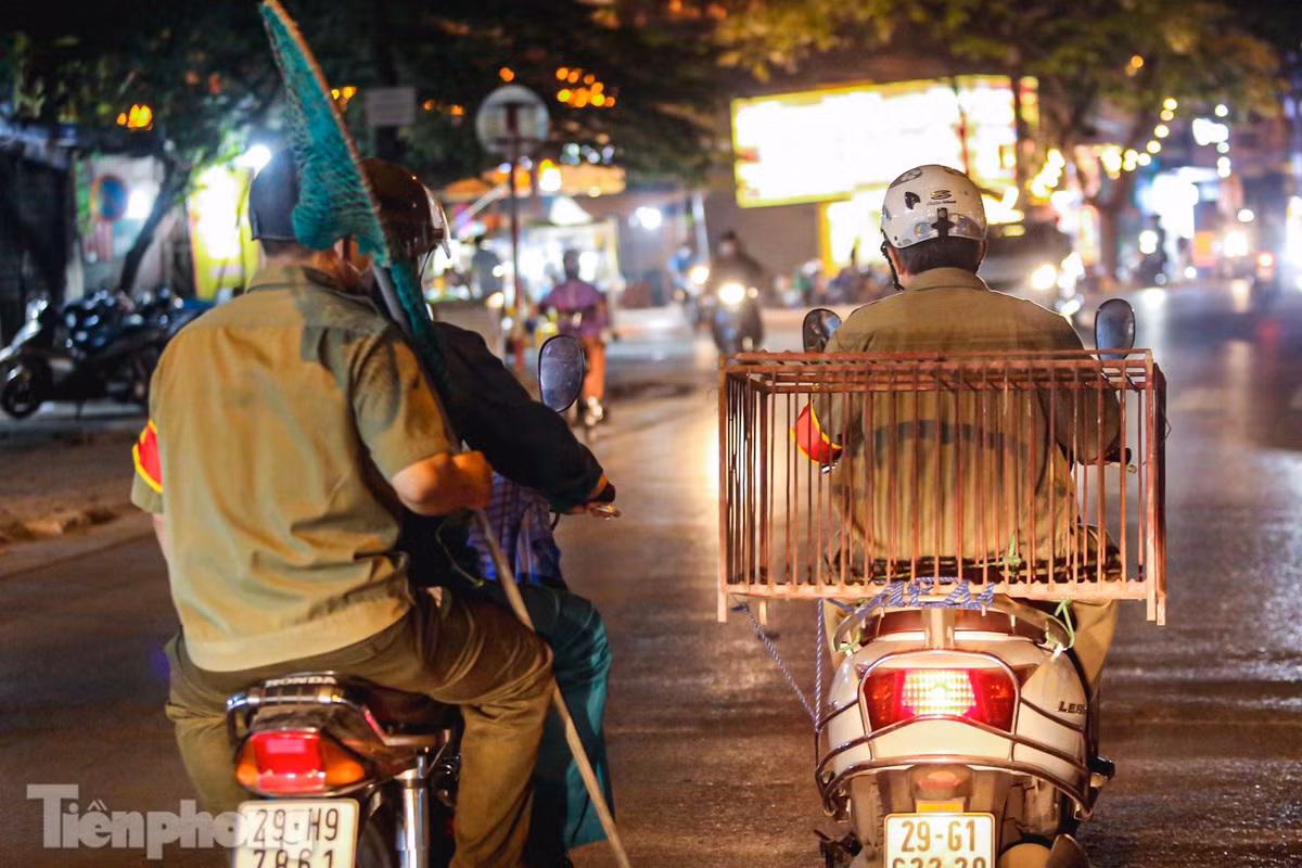 "Mỗi tuần đội thường tuần tra bắt chó 2 lần. Trong thời gian đầu thực hiện, khi thấy chó nhà bị bắt, nhiều người phản ứng và gây nhiều khó khăn cho tổ công tác, tuy nhiên sau khi giải thích, người dân đã ý thức hơn. Hoạt động được 3 năm, lượng chó thả rông đã giảm hẳn", ông Ngô Nguyên Bắc - Đội trưởng đội bắt chó thả rông phường Kim Giang cho biết.