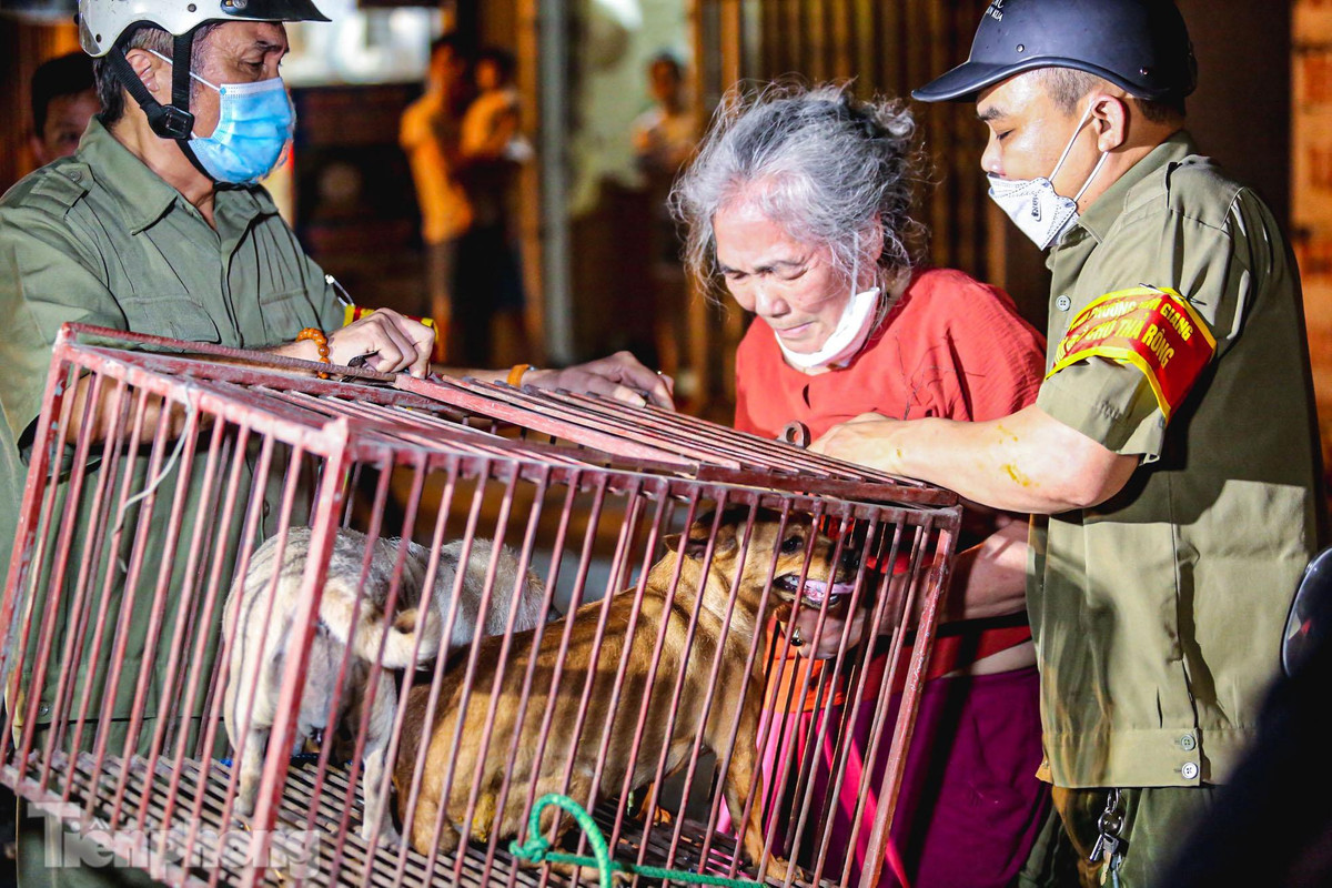 Nhiều chủ chó không hợp tác với lực lượng chức năng, tuy nhiên sau khi nghe giải thích, chủ chó đã nhận thức được việc thả chó gây nguy hại và ảnh hưởng đến môi trường.