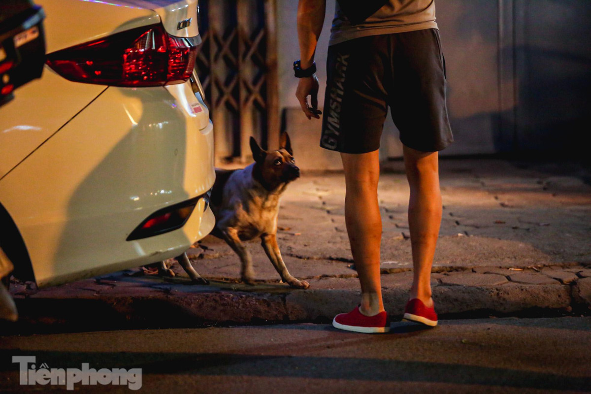 Theo quy định, khi đưa chó ra nơi công cộng phải đảm bảo an toàn cho người xung quanh bằng cách đeo rọ mõm, xích chó và có người dắt; chấp hành nghiêm việc tiêm vắc xin phòng bệnh dại cho chó, mèo theo quy định; chấp hành việc đánh dấu để nhận diện (đeo vòng cổ…) cho chó, mèo đã được tiêm vắc xin dại theo quy định của cơ quan có thẩm quyền.