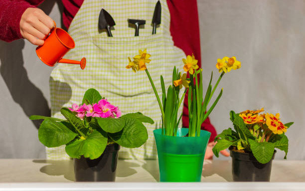 Nguoi co gio sinh nay dang gap xui xeo-Hinh-2