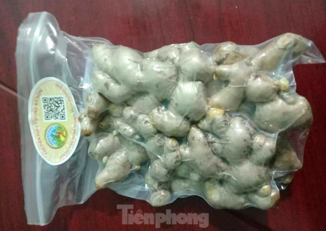 Ngày 15/11/2019, Cục Sở hữu trí tuệ ban hành Quyết định số 5587/QĐ-SHTT về việc cấp Giấy chứng nhận đăng ký Chỉ dẫn địa lý số 00077 cho sản phẩm Gừng Kỳ Sơn.