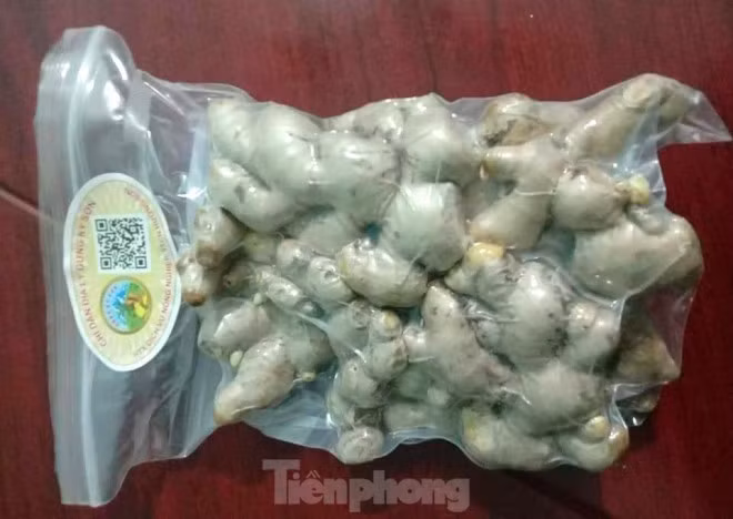 Ngày 15/11/2019, Cục Sở hữu trí tuệ ban hành Quyết định số 5587/QĐ-SHTT về việc cấp Giấy chứng nhận đăng ký Chỉ dẫn địa lý số 00077 cho sản phẩm Gừng Kỳ Sơn.