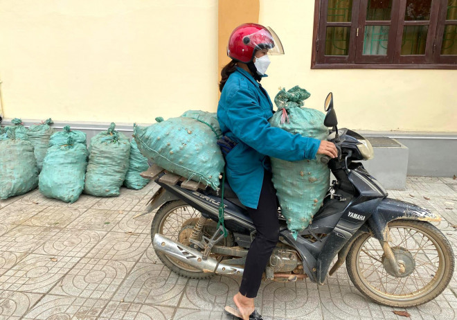 Huyện Kỳ Sơn hiện có gần 800ha gừng, tập trung ở một số xã như Na Ngoi, Tây Sơn, Đọoc Mạy, Nậm Cắn, Huồi Tụ, Keng Đu và Phà Đánh. Đây là vùng có thời tiết mát mẻ, mây mù bao phủ, gừng được trồng ở lưng chừng núi nên phù hợp với quá trình sinh trưởng và phát triển, cho năng suất khá cao.