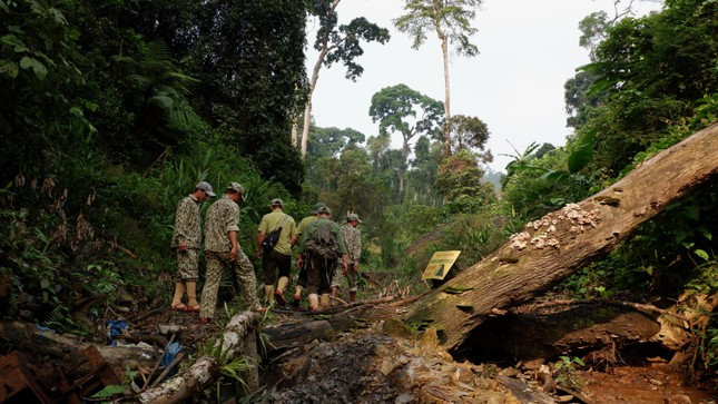 Anh em băng rừng, tuần tra để kịp thời phát hiện các dấu hiệu nghi ngờ để kịp thời báo cáo và triển khai lực lượng xử lý.