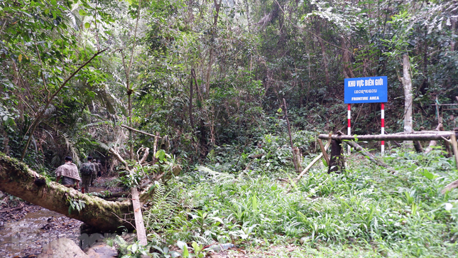 Tuyến đường tuần tra bảo vệ rừng ở Vườn quốc gia Sông Thanh nằm ở khu vực biên giới. Càng đi vào sâu bên trong, đường đi càng vất vả.