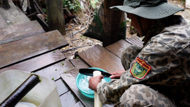 Người xắt thân chuối rừng làm rau, cải thiện.