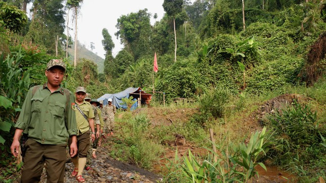 Để bảo vệ rừng và thành quả đã đạt được sau 40 năm, lực lượng của Ban quản lý Vườn Quốc gia Sông Thanh được chỉ đạo lập các trạm, cắm chốt và tuần tra bảo vệ ngay tại rừng. Có bóng dáng lực lượng bảo vệ rừng, sau 1 năm tại các bãi vàng các đầu nậu, dân làm vàng không dám bén mảng đến.