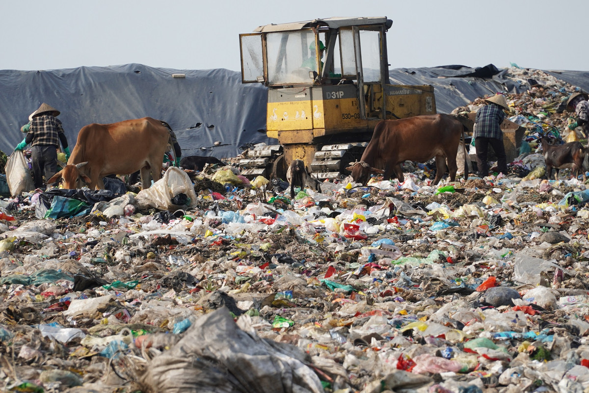 Những năm gần đây, bãi rác này quá tải, ngày càng phình to, gây ô nhiễm cho khu vực xung quanh.
