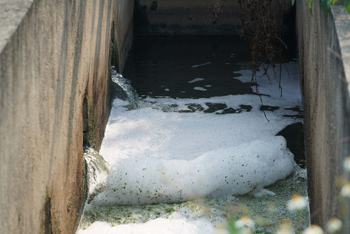 Nước thải sau khi được xử lý ô nhiễm sẽ xả ra môi trường.