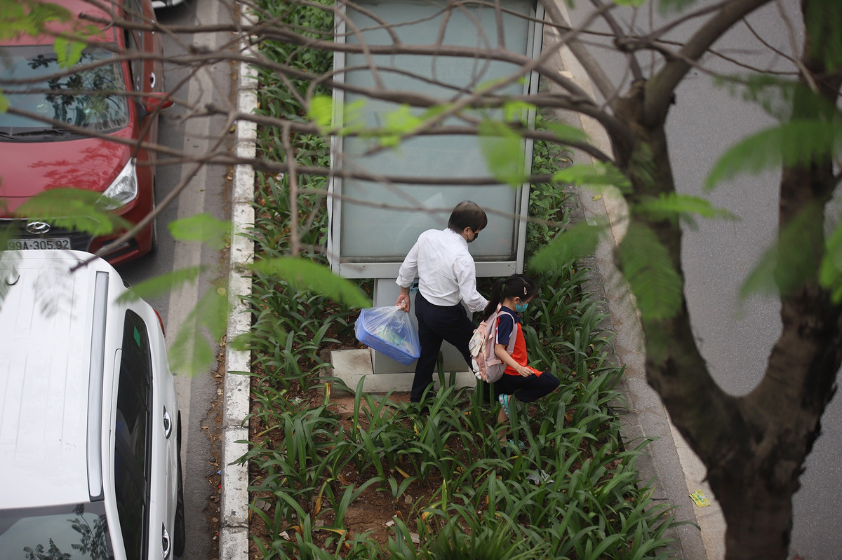 Trường Tiểu học Phương Liên ở bên kia đường. Hai người băng qua thảm cỏ để kịp giờ vào lớp.