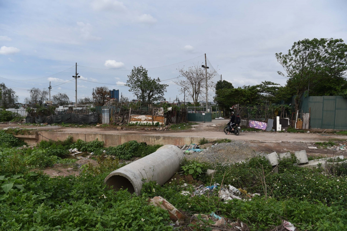 ...cây dại phủ kín.